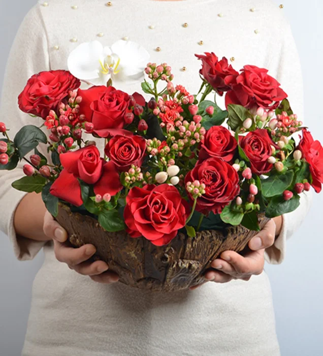 Red Rose Purity