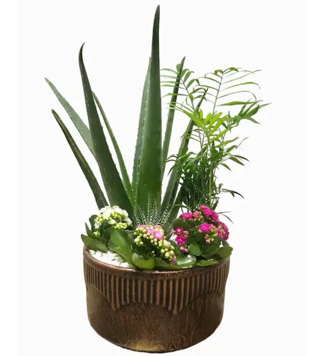 Luxury Spirit Green Garden