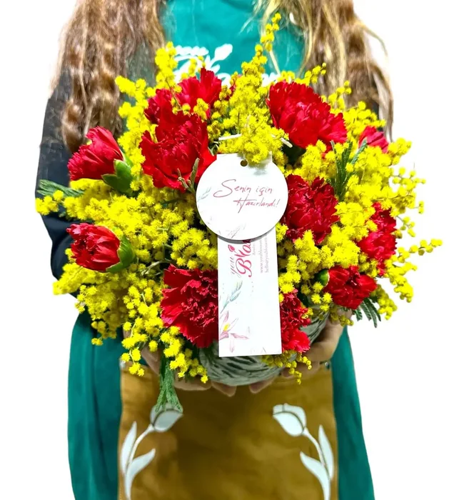 Mimoza Çiçeği