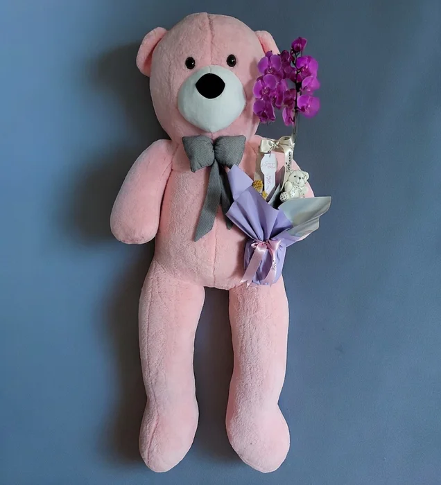 Winnie The Pooh ile Mor Orkide