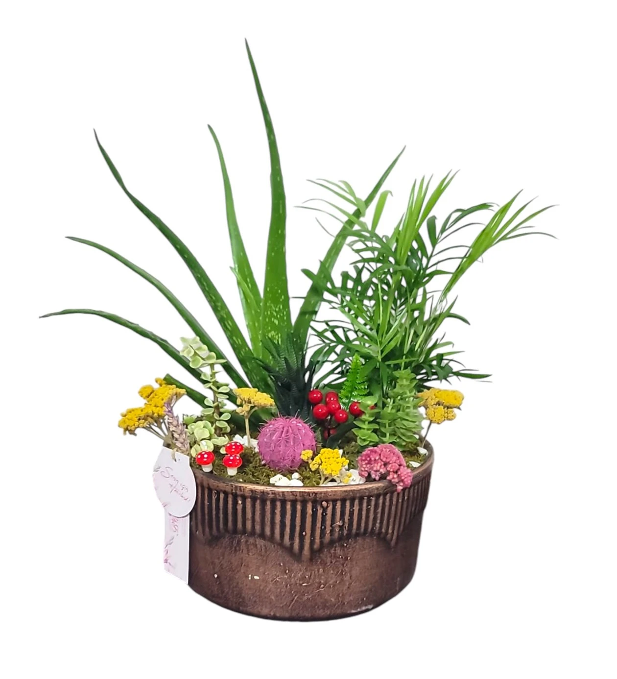 Centra Plant Garden