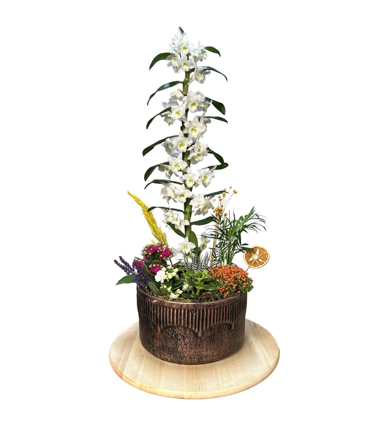 White Dendrobium Orchid Arrangement