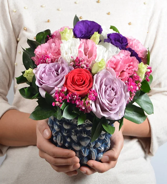 Pretty Colourful Roses