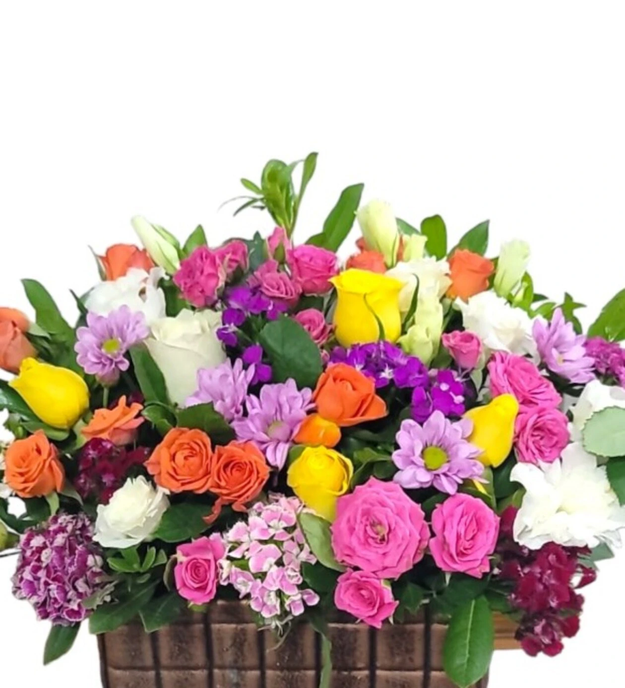 Sun Flower of Arrangement