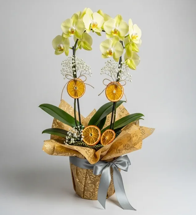 Citrus Glow: Lemon Cream Orchid Arrangement