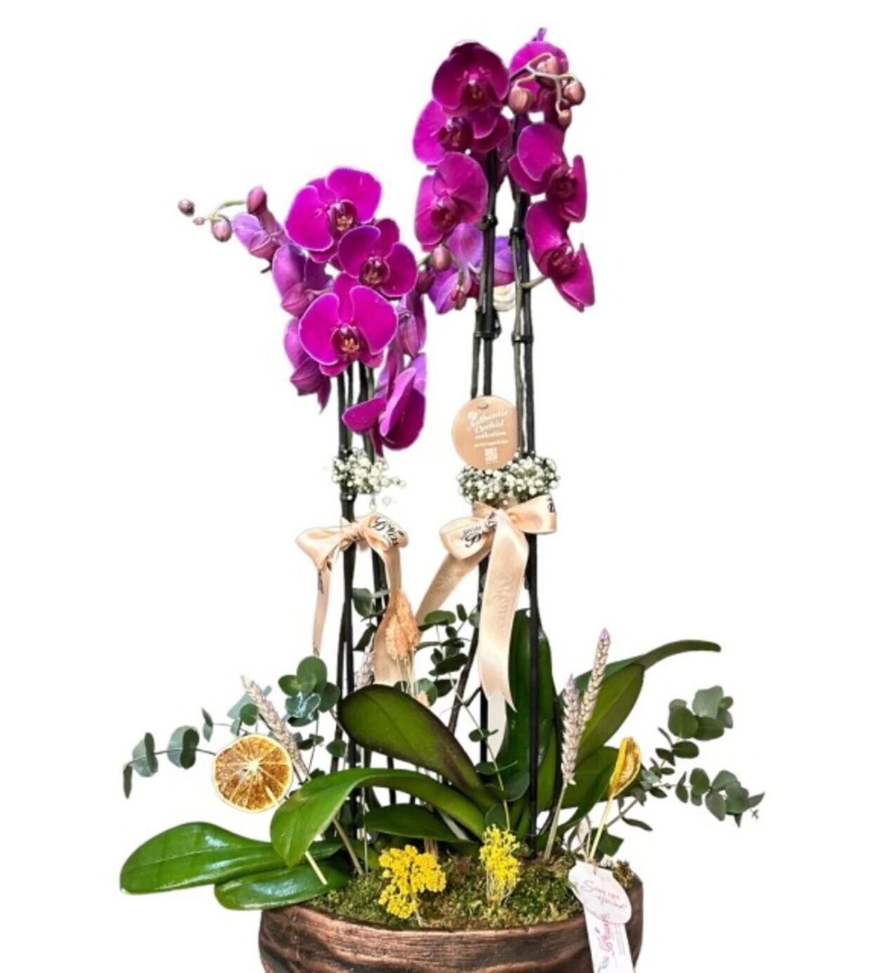 Four Blooms Purple Orchid