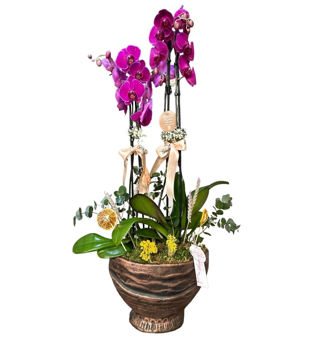 Four Blooms Purple Orchid