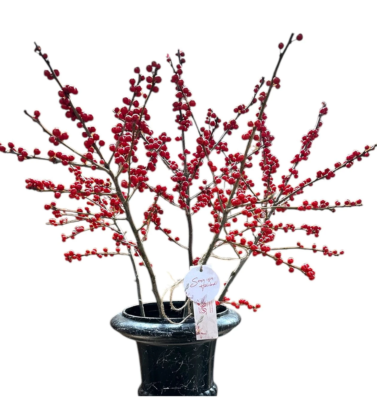 Yeni Yıl Çiçekleri: Ilex Crenata Aranjmanı