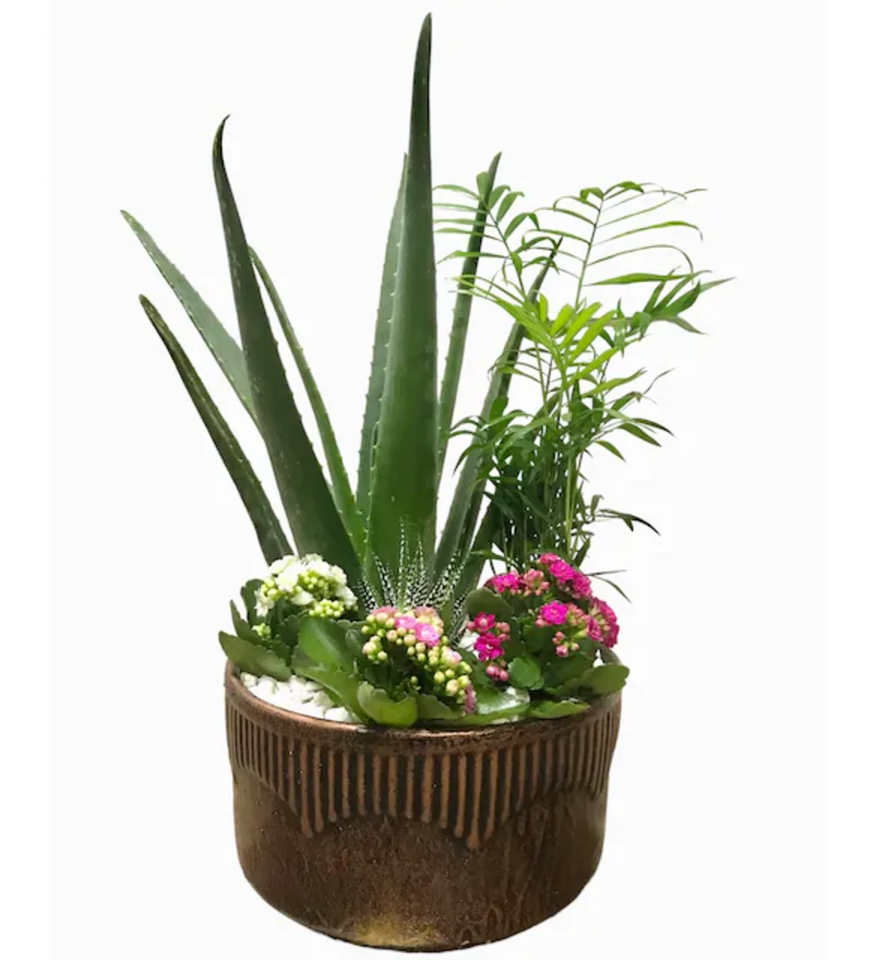 Luxury Spirit Green Garden