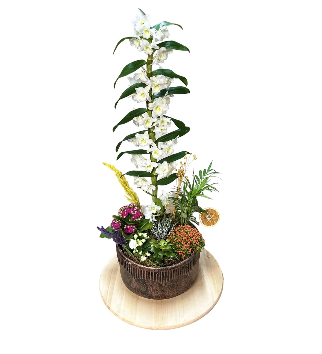 White Dendrobium Orchid Arrangement