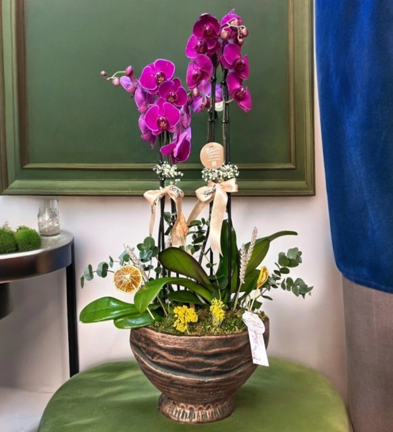 Four Blooms Purple Orchid