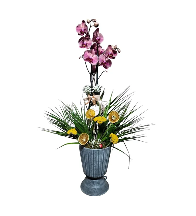 Luxury Bliss Hot Orchid