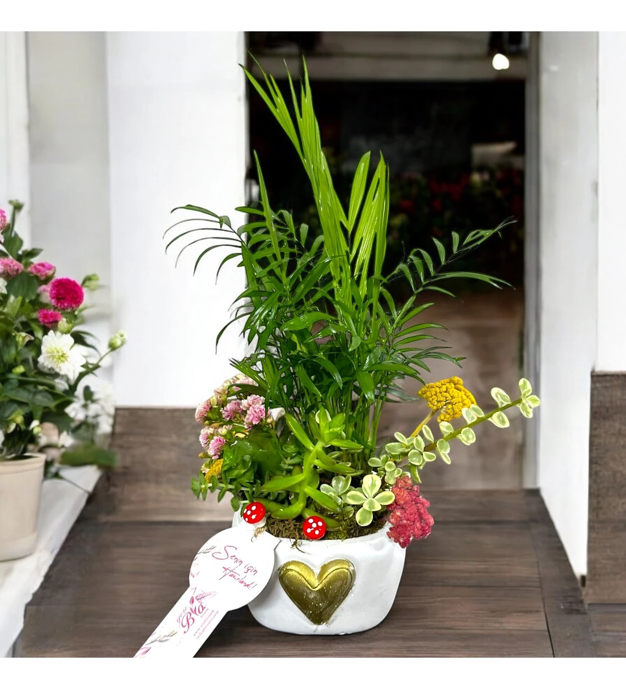 Lovely Chamadore Garden