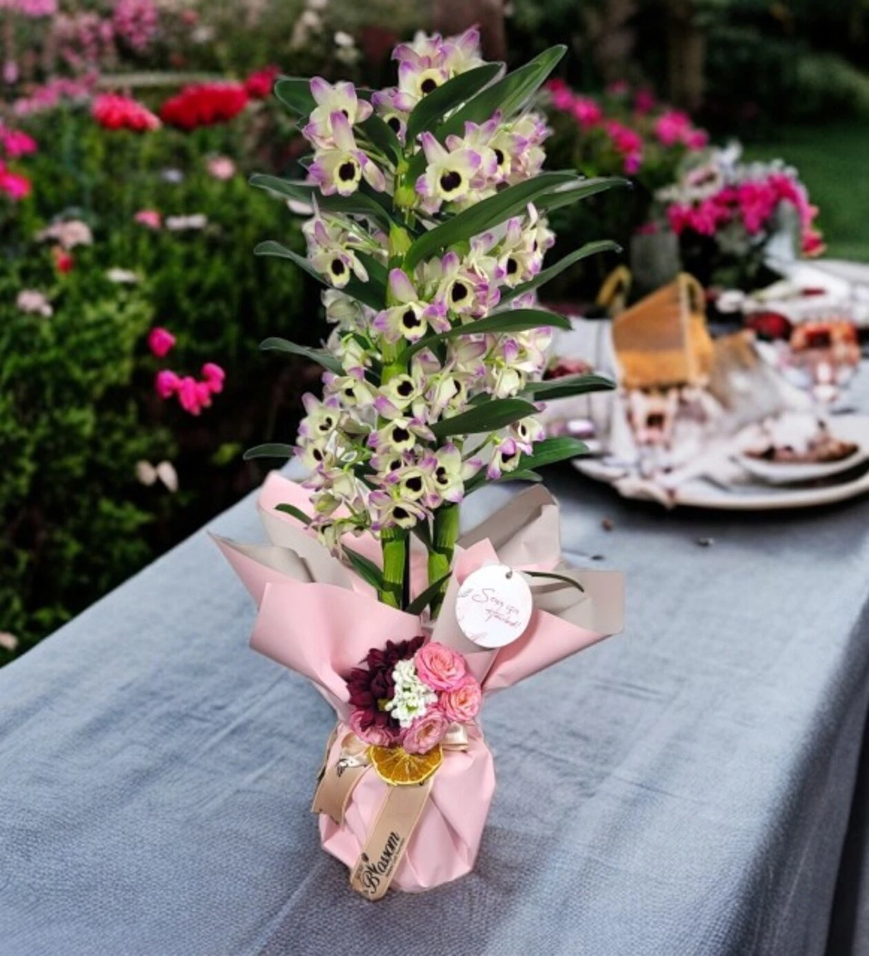 Dendrobium of Love
