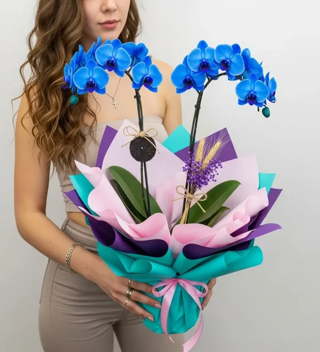 Doğum Günü Hediyesi Blue Elegance Mavi Orkide