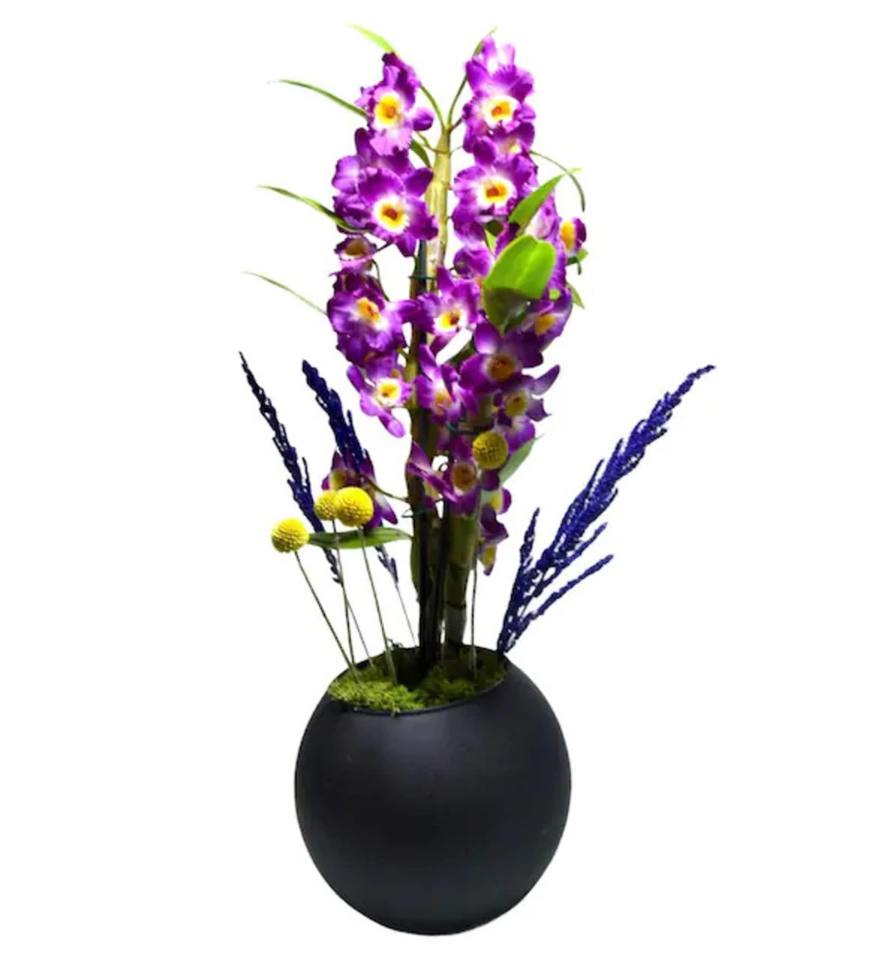 Purple Dendrobium Orchid