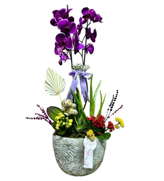 Glory Purple Orchid Arrangement