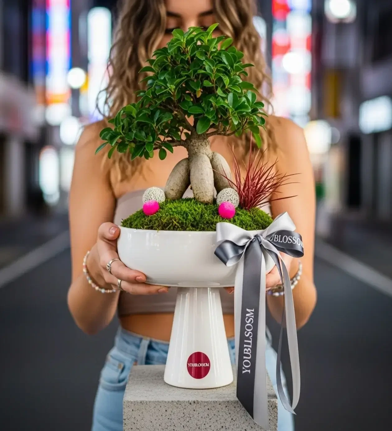 Tıp Bayramı Çiçeği: Ficus Bonsai Tasarımı