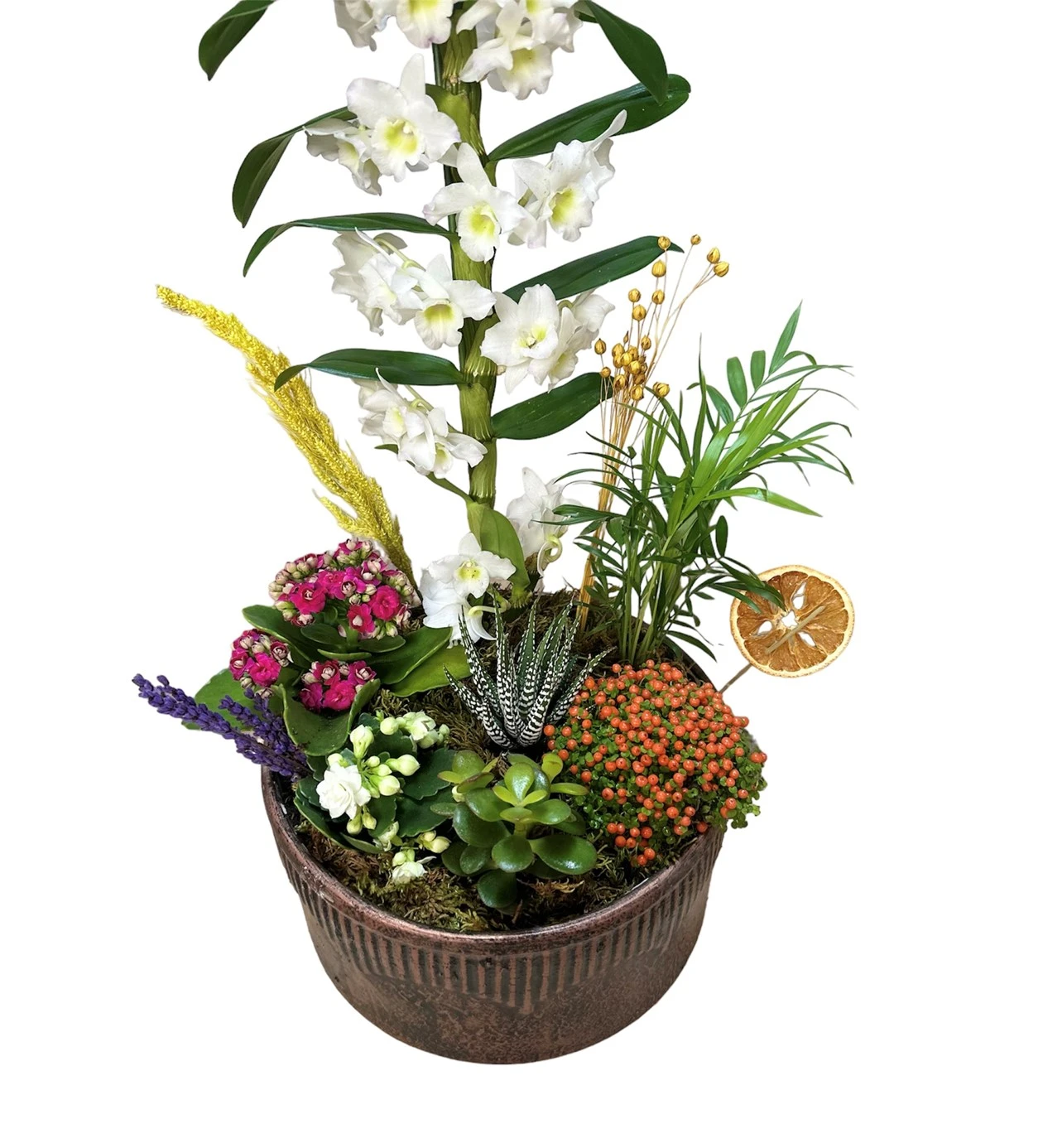 White Dendrobium Orchid Arrangement