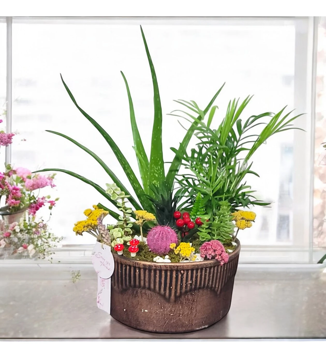 Centra Plant Garden