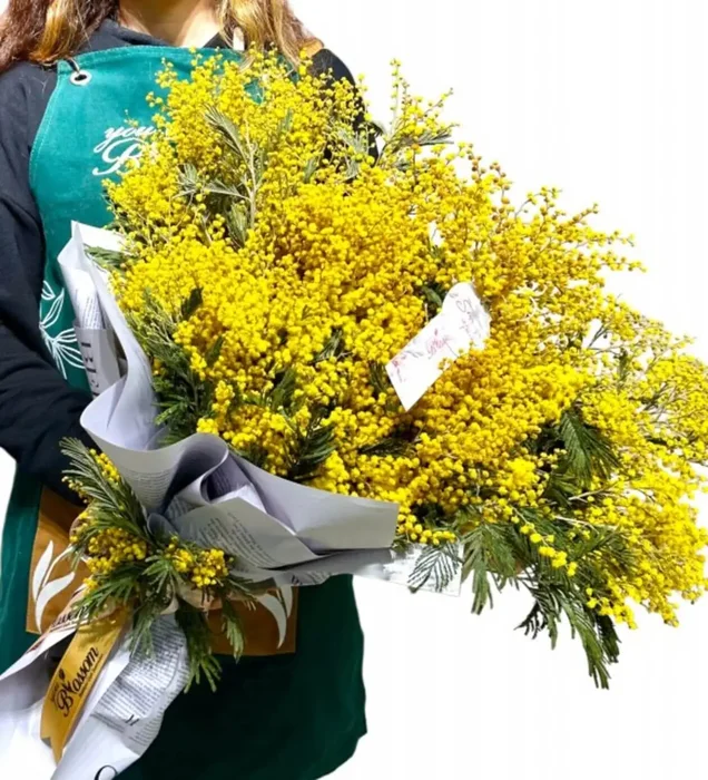 Kucak Dolusu Mimoza Çiçeği Buketi