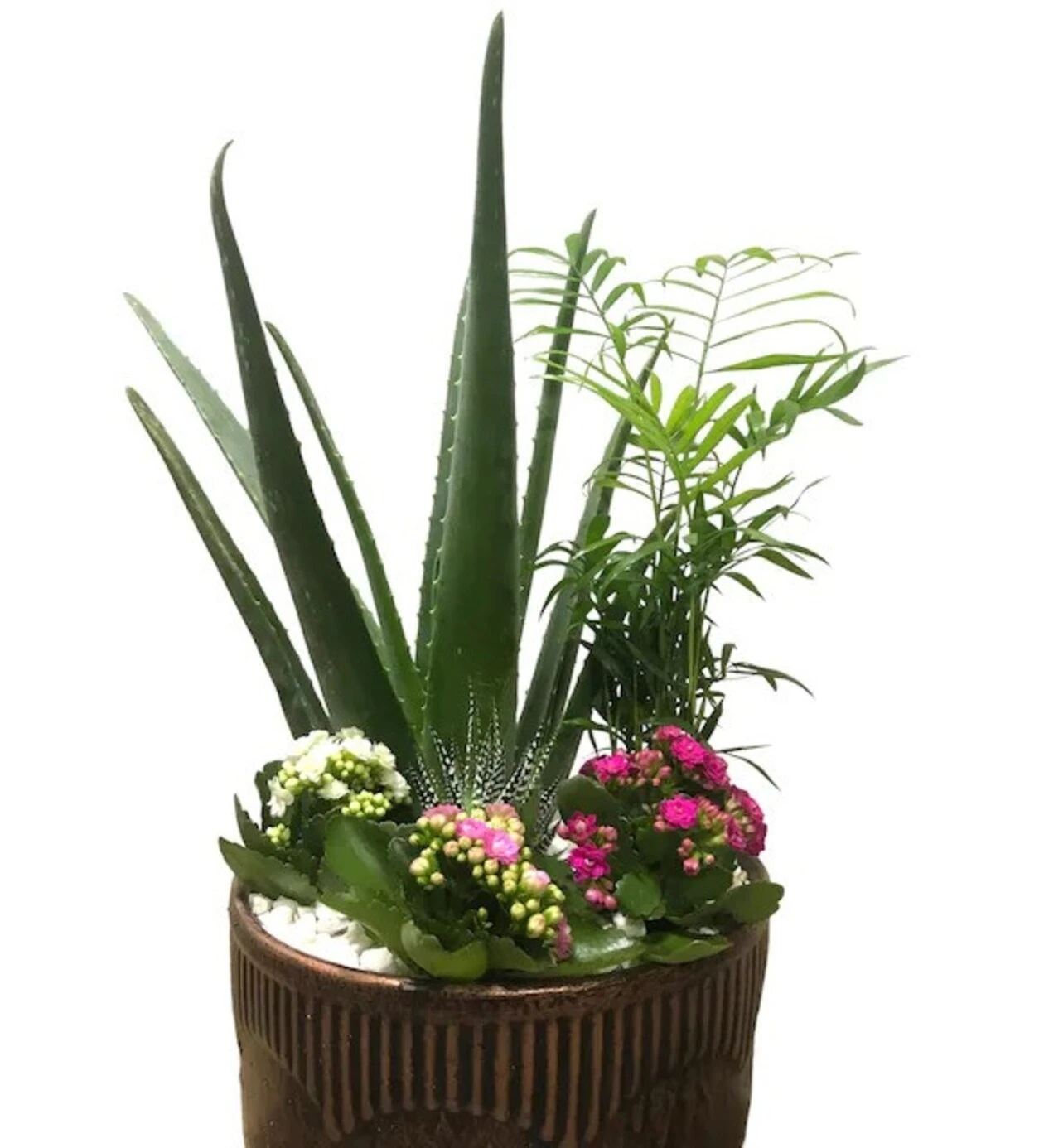 Luxury Spirit Green Garden