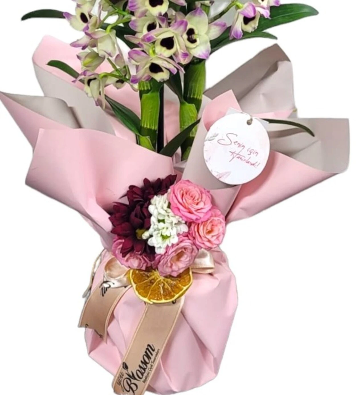 Dendrobium of Love